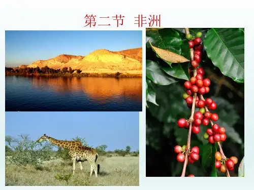 湘教版七年级地理下册  6.2 非洲 第二课时 课件(共14张PPT)