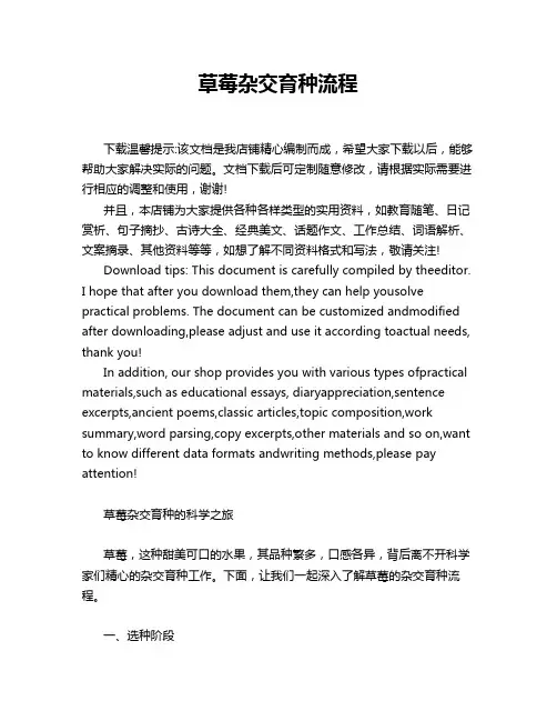 草莓杂交育种流程
