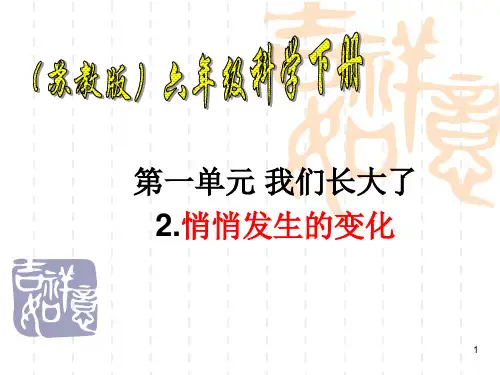苏教版六年级下册科学悄悄发生的变化ppt课件