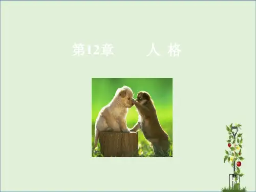 12人格全解