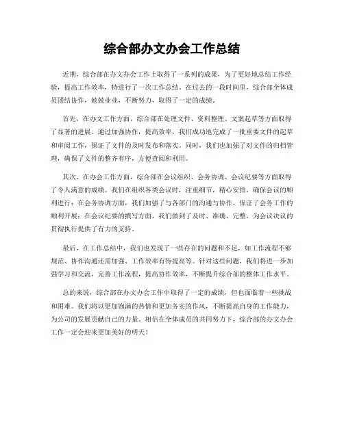 综合部办文办会工作总结