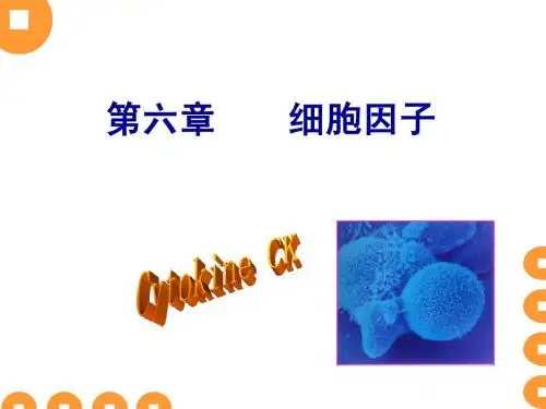 细胞因子,CD分子,粘附分子