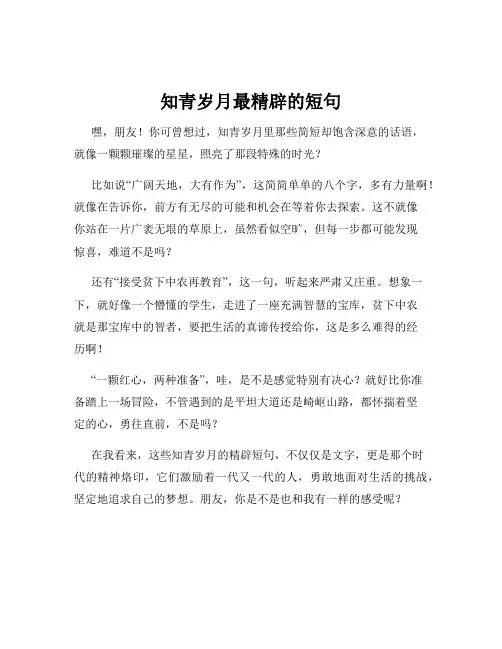 知青岁月最精辟的短句