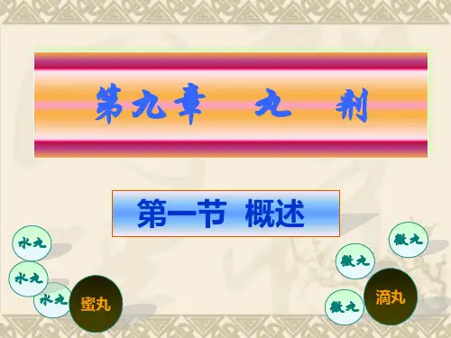 丸剂 (1)