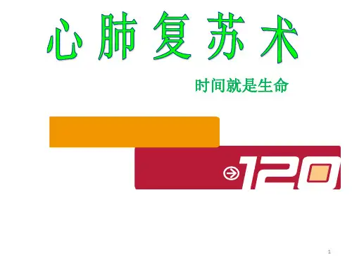 心肺复苏术详解PPT课件