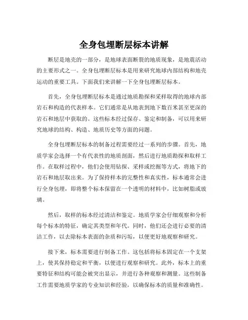 全身包埋断层标本讲解