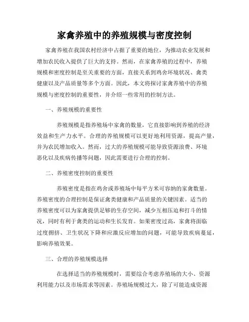 家禽养殖中的养殖规模与密度控制