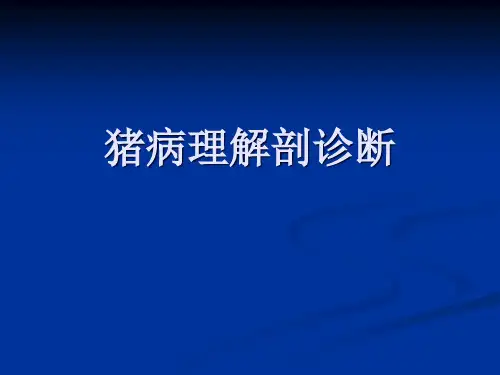 猪只病理尸体解剖诊断