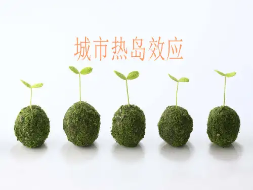 城市热岛效应15页PPT