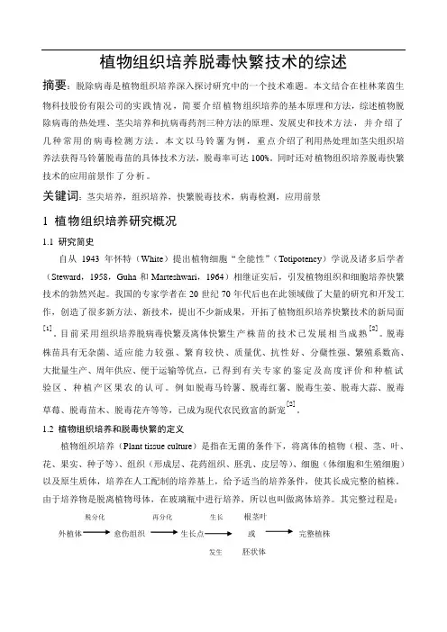 植物组织培养脱毒快繁技术的综述