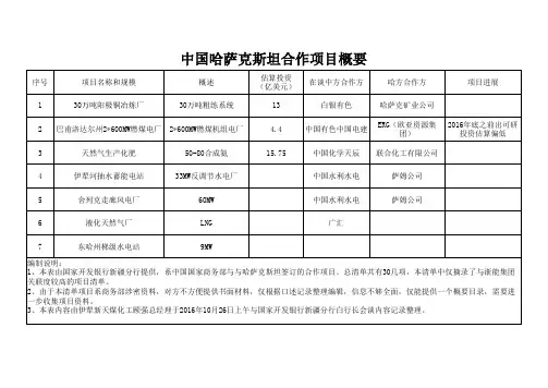 中国哈萨克斯坦合作项目概要