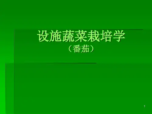 设施蔬菜栽培学(茄果类)
