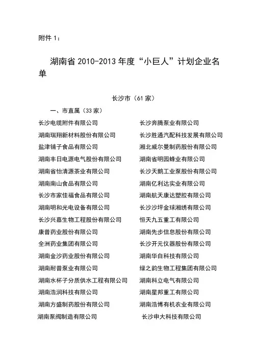湖南省2010-2013年度“小巨人”计划企业名单