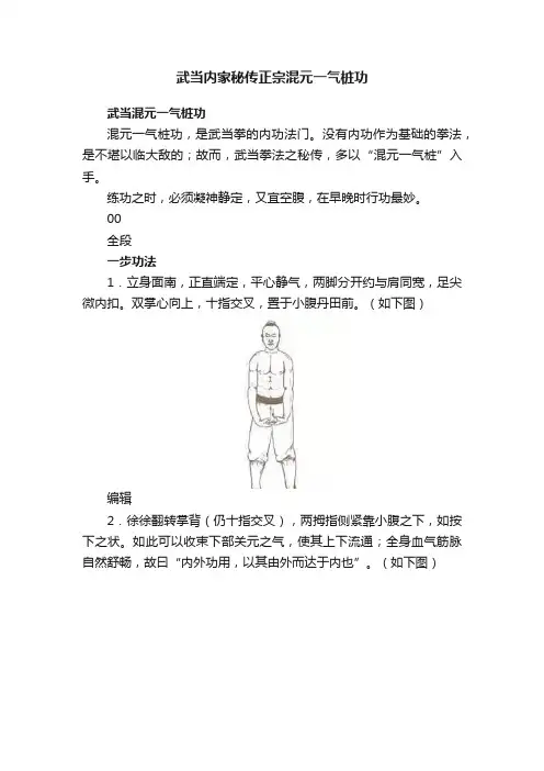 武当内家秘传正宗混元一气桩功