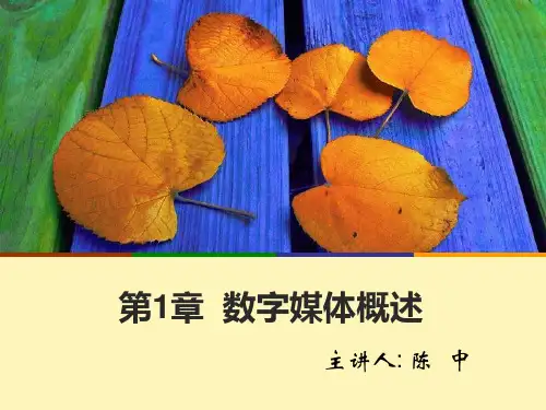 数字媒体概述
