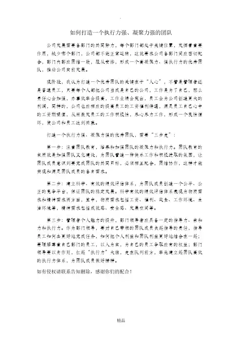 如何打造一个执行力强、凝聚力强的团队