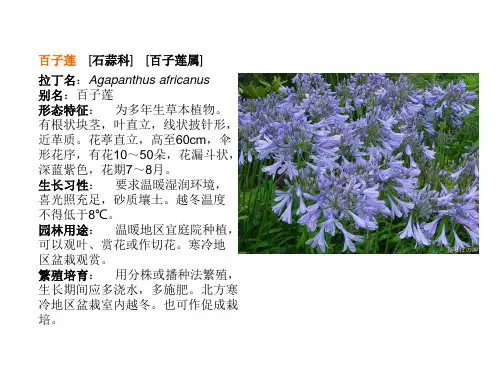 50种常见草本