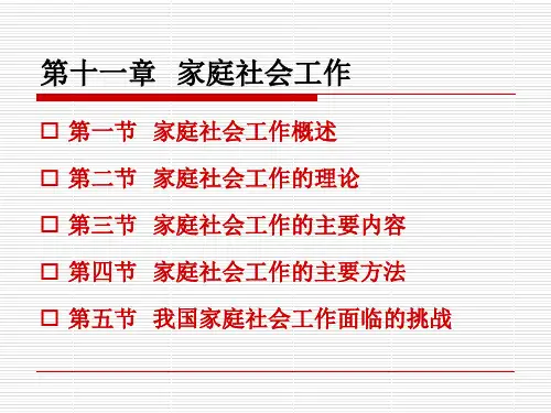 10社会工作 实务—— 家庭社会工作 PPT课件
