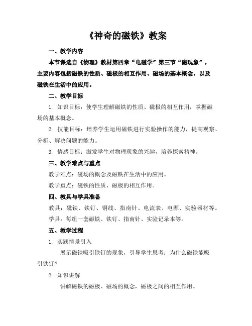 《神奇的磁铁》教案