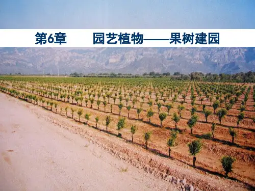 第6章- 园艺植物-果树建园 华中农业大学园艺概论讲义