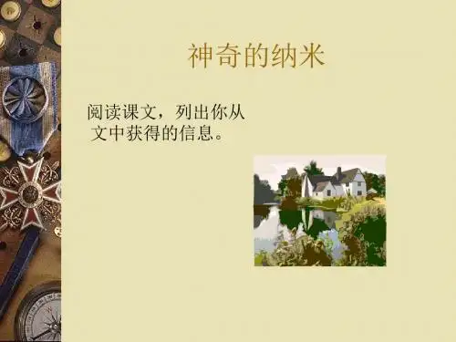神奇的纳米PPT 鄂教版 (共10张PPT)
