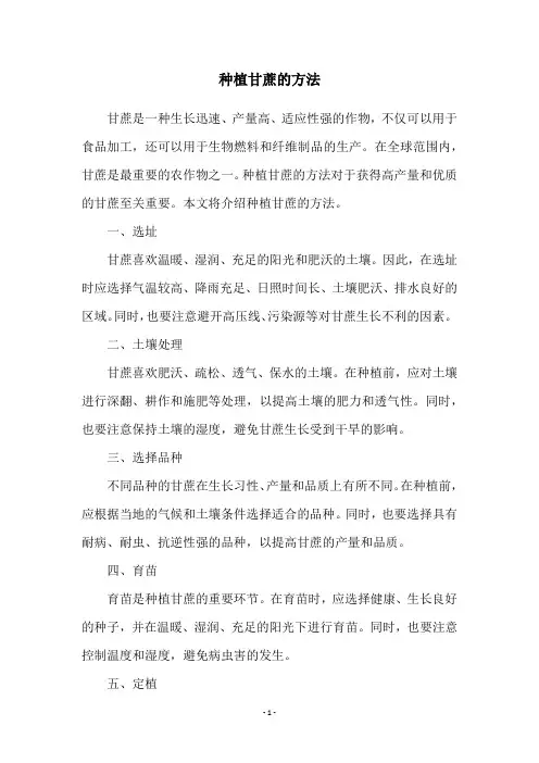 种植甘蔗的方法