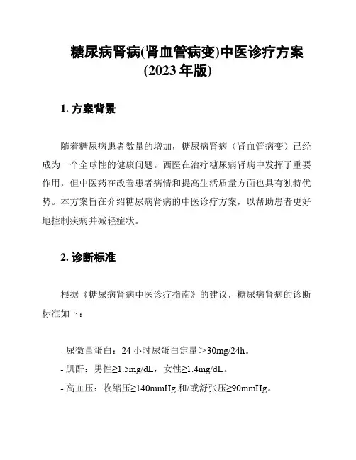 糖尿病肾病(肾血管病变)中医诊疗方案(2023年版)