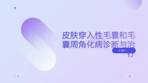 皮肤穿入性毛囊和毛囊周角化病诊断与治疗PPT