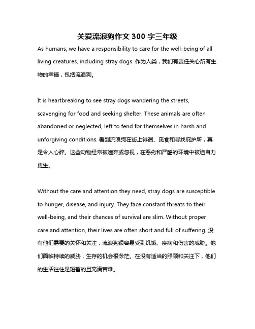 关爱流浪狗作文300字三年级
