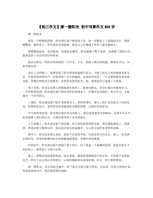 【初三作文】那一缕阳光 初中写事作文800字