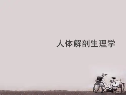 人体解剖生理学--人体基本结构概述  ppt课件