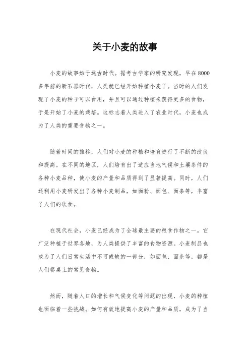 关于小麦的故事