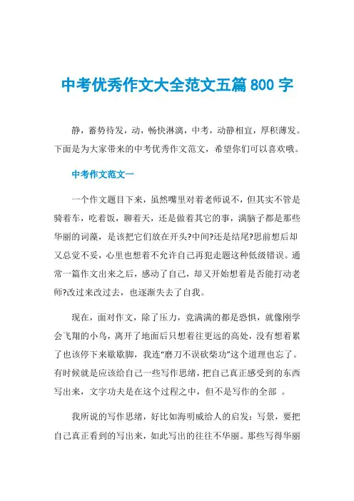 中考优秀作文大全范文五篇800字