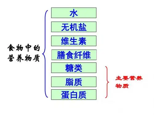 3.6 三大营养物质的代谢 PPT课件
