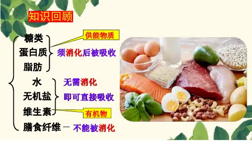消化和吸收ppt课件