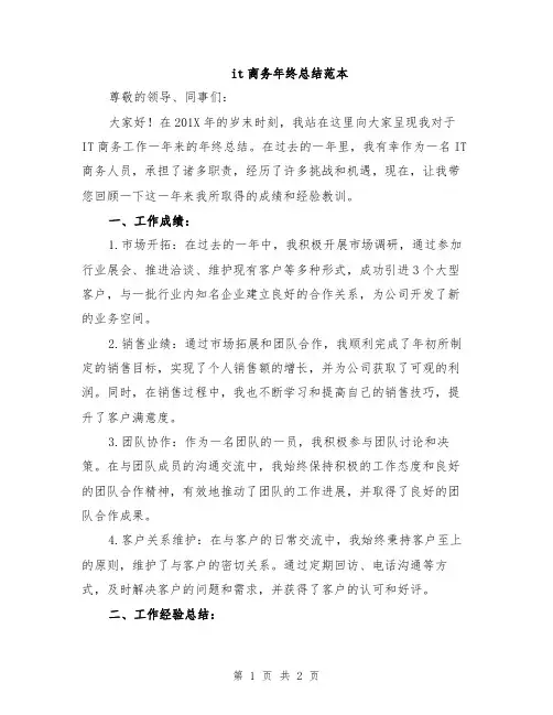 it商务年终总结范本