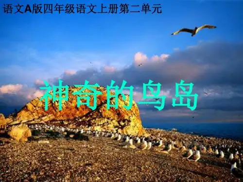 四年级语文上册 神奇的鸟岛 2课件 语文A版
