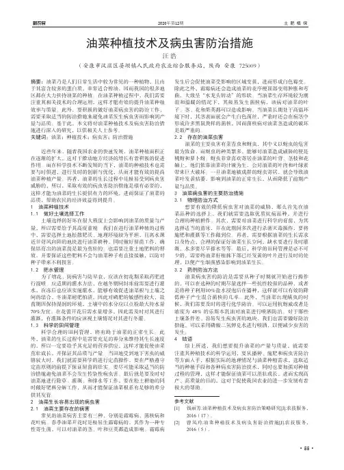 油菜种植技术及病虫害防治措施