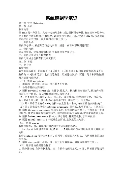 系统解剖学笔记
