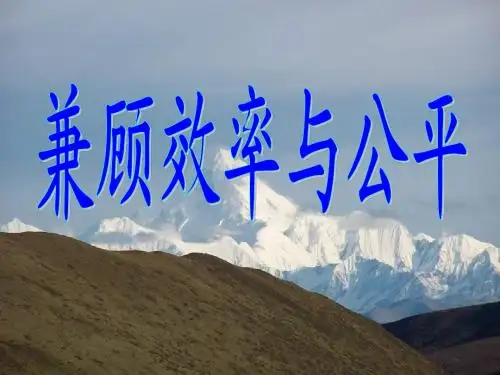 兼顾效率与公平,