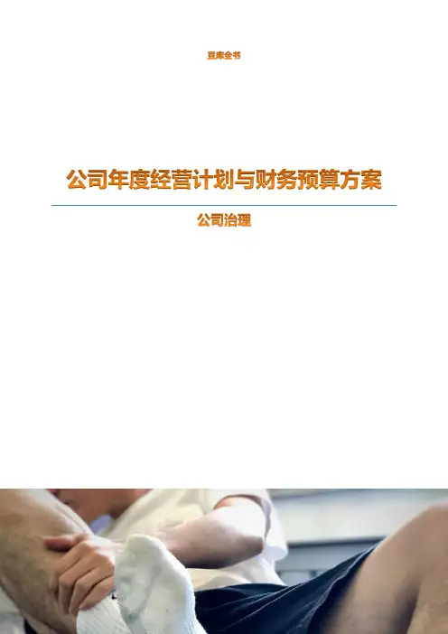 【公司治理】公司年度经营计划及财务预算方案（☆☆☆）