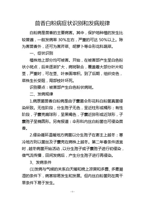 茴香白粉病症状识别和发病规律