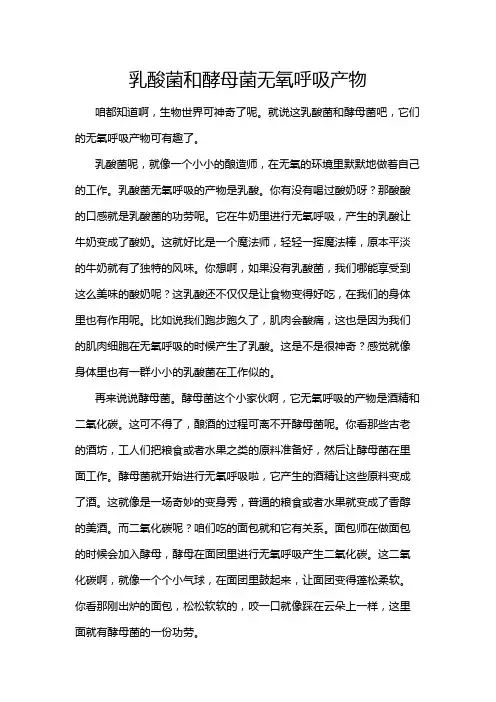 乳酸菌和酵母菌无氧呼吸产物