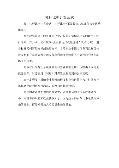 杠杆比率计算公式