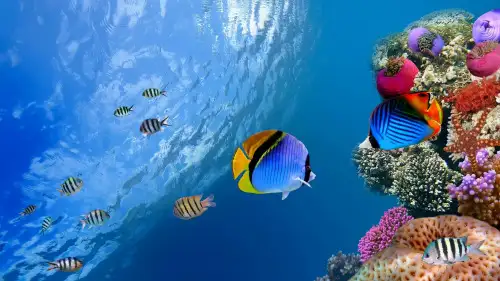 海陆的变迁ppt课件