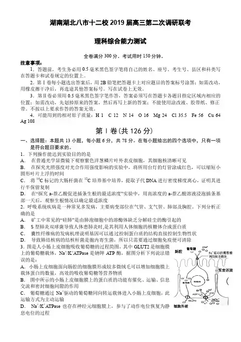 湖南湖北八市十二校(湖南师范大学附属中学、衡阳八中等)2019届高三第二次调研联考理科综合试题(含答案)