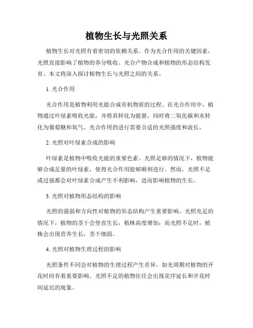 植物生长与光照关系