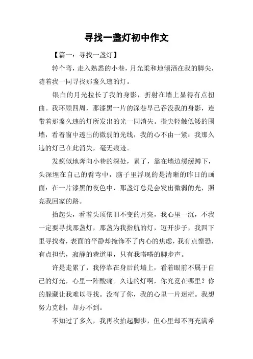 寻找一盏灯初中作文