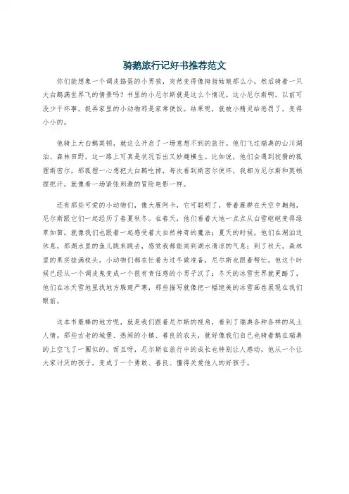 骑鹅旅行记好书推荐范文