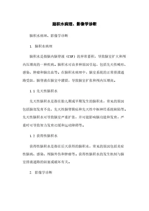 脑积水病理、影像学诊断